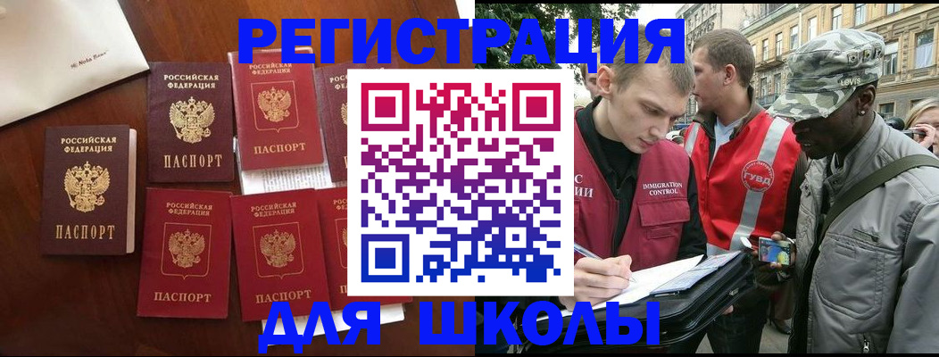 где прописаться в Нелидово